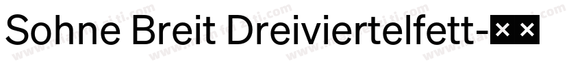 Sohne Breit Dreiviertelfett字体转换